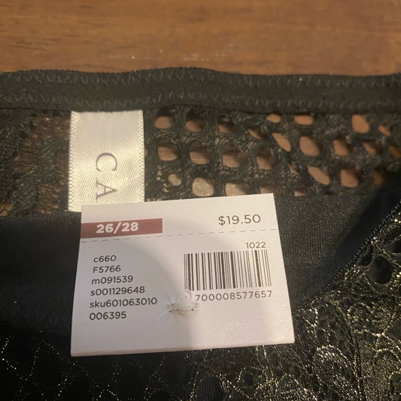 NWT Lane Bryant/Cacique Bra and Panty set 46DD 26/28 - Picture 11 of 14